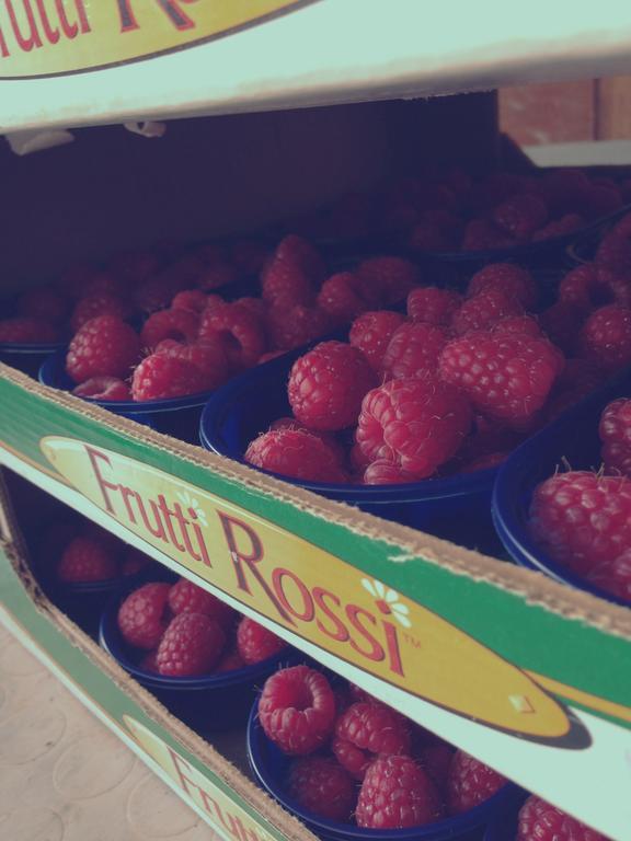 Agriturismo Fruttirossi Trofarello Dış mekan fotoğraf