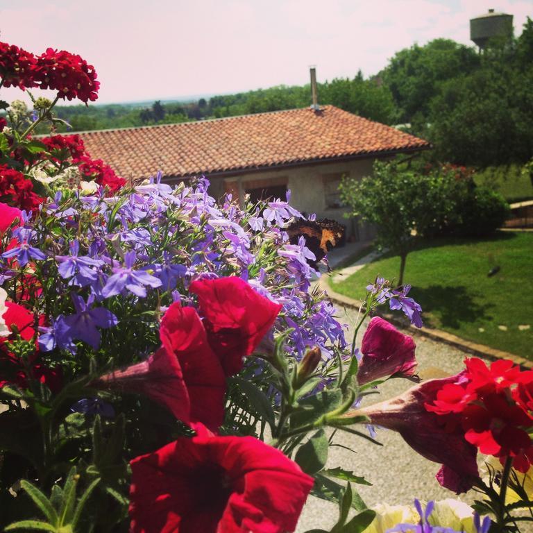 Agriturismo Fruttirossi Trofarello Dış mekan fotoğraf
